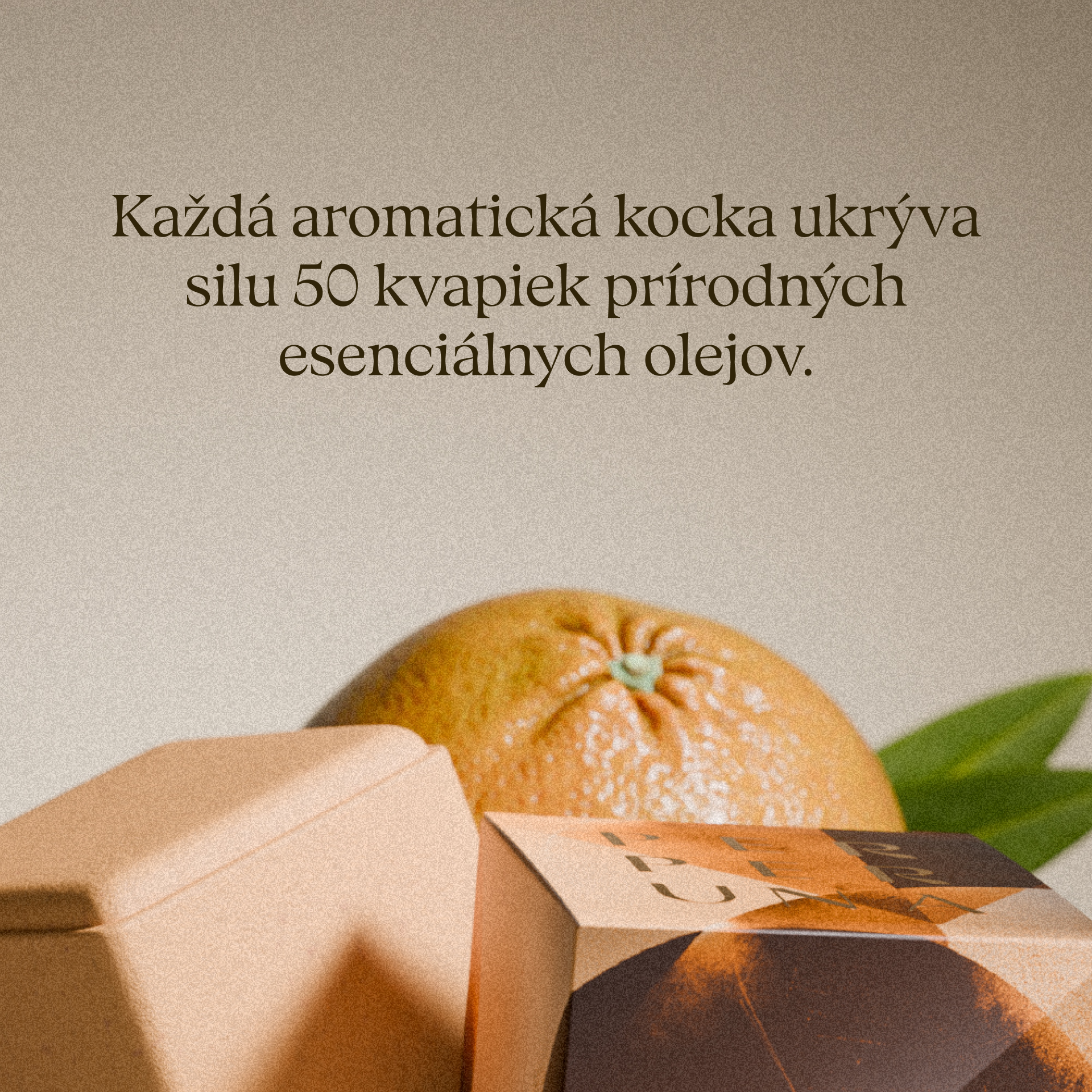 Balance - Cubo doccia aromatico