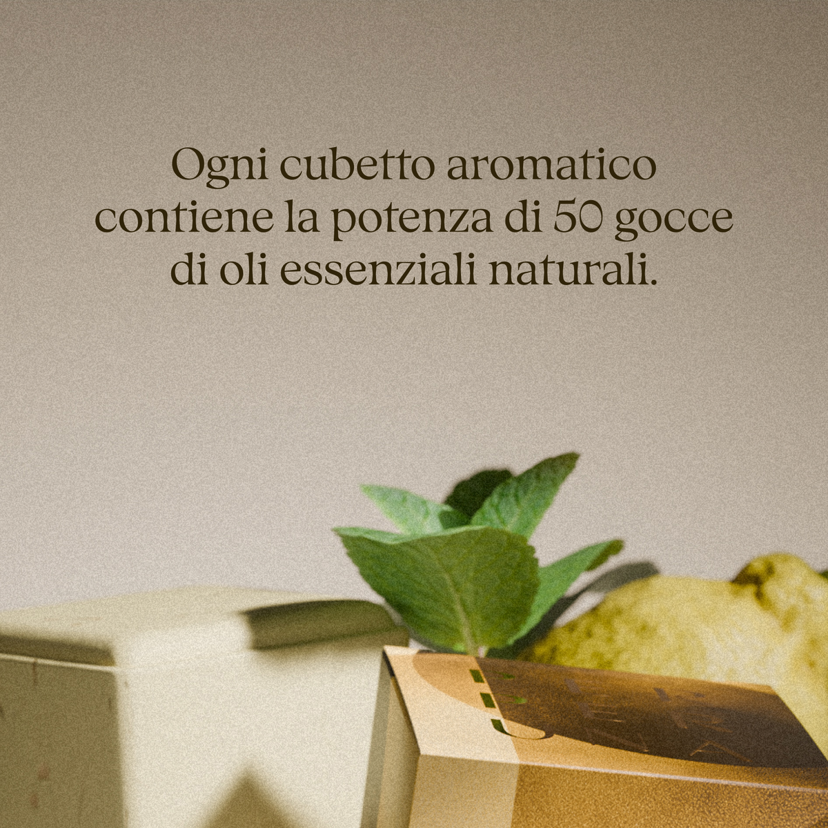 Primo piano della bomba doccia aromaterapica Uplift con oli essenziali naturali