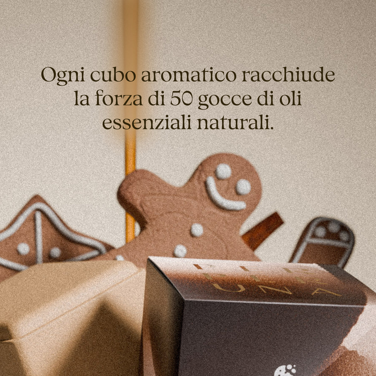 Ogni cubo aromatico racchiude la forza di 50 gocce di oli essenziali naturali. – Warm