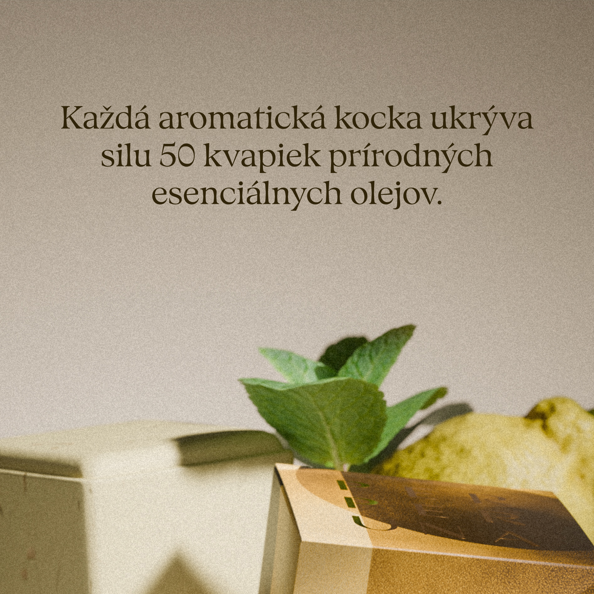 [Imperfetto] Uplift - Cubo doccia aromatico