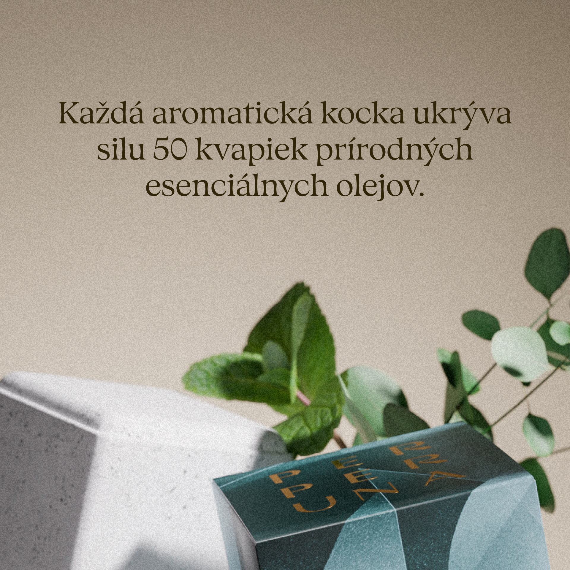 Breathe - Cubo doccia aromatico