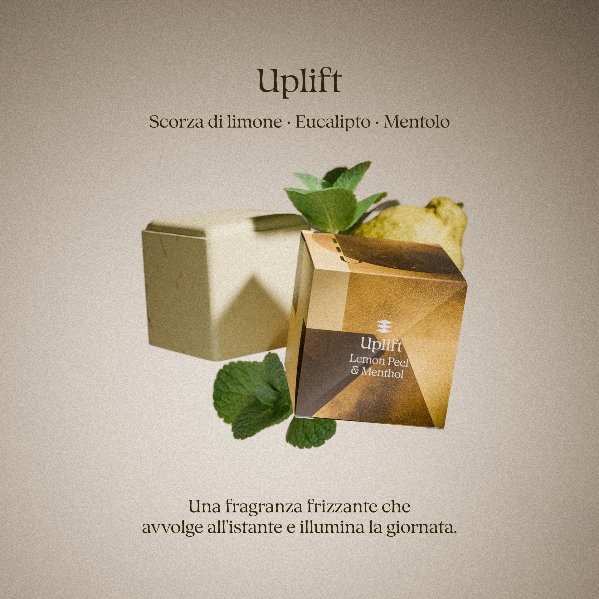 Set convenienza – 5 cubi da doccia + ciotola di pietra